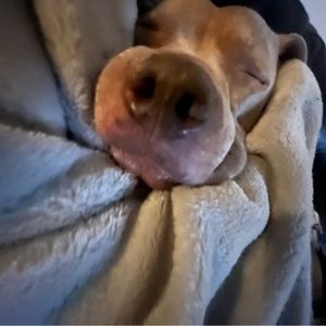 Meet your Posher, Chelsi